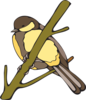 Perched Yellow Nut Hatch Clip Art